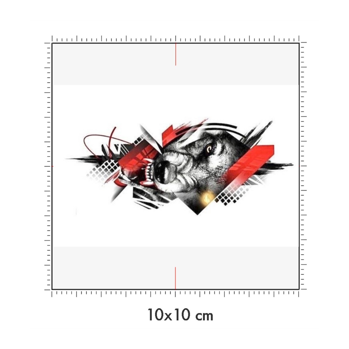 10 x 10 cm