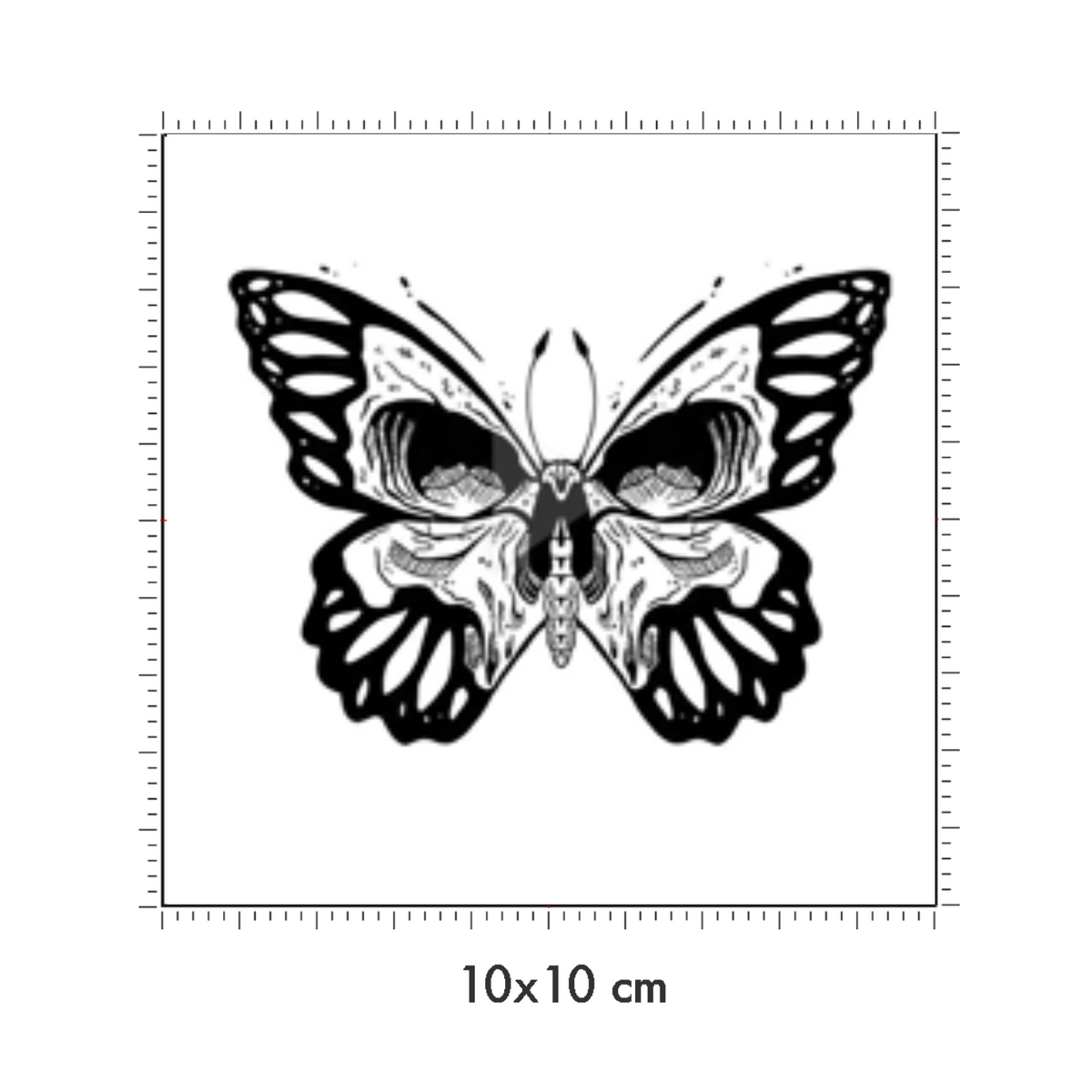 10 x 10 cm