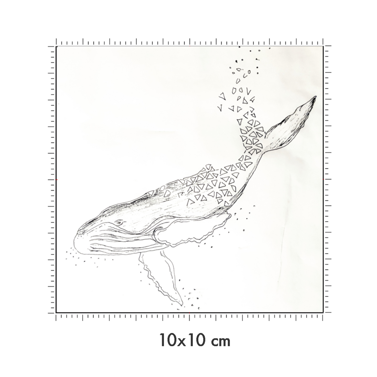 10 x 10 cm