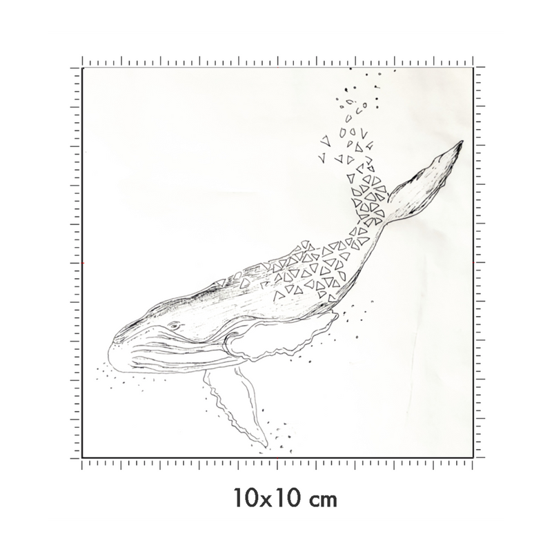 10 x 10 cm