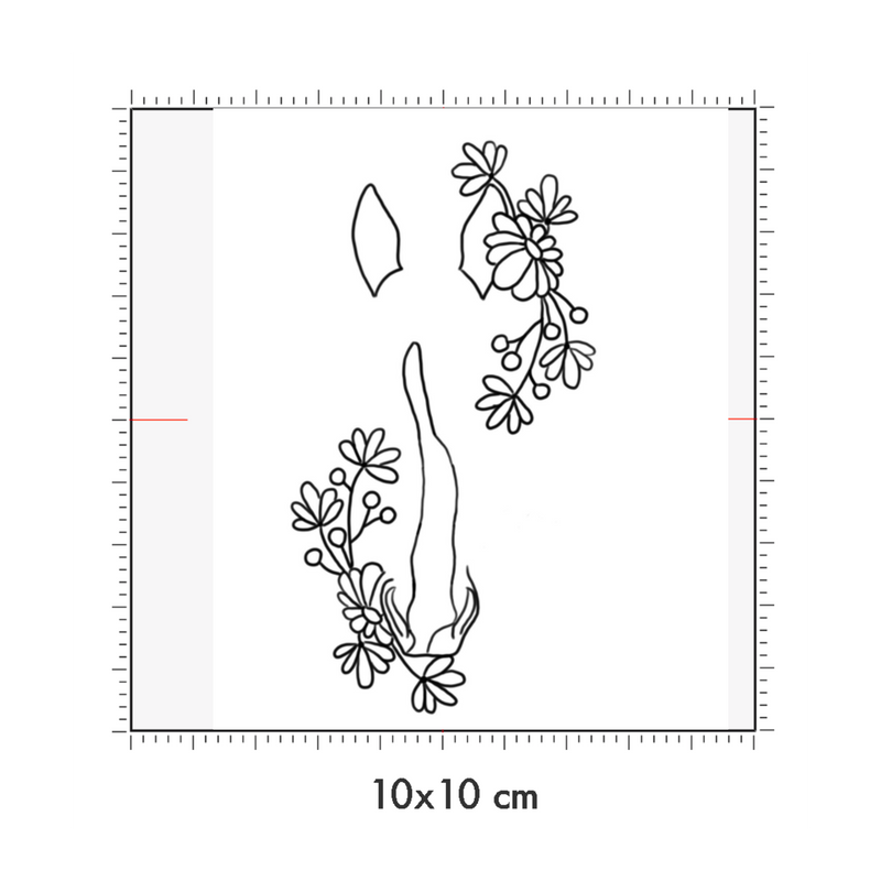 10 x 10 cm