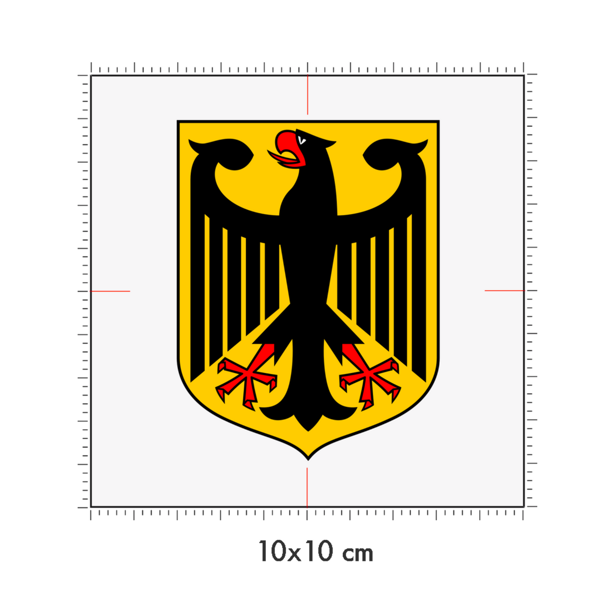 10 x 10 cm