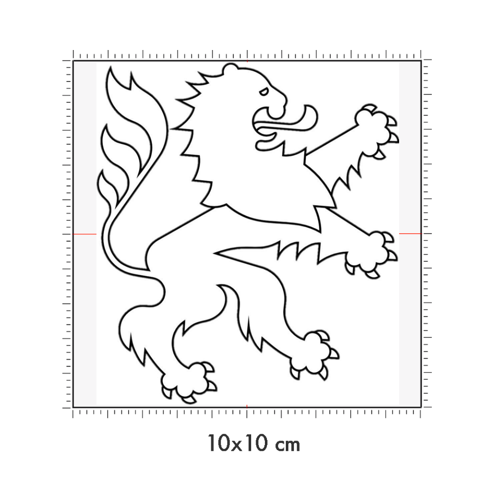 10 x 10 cm