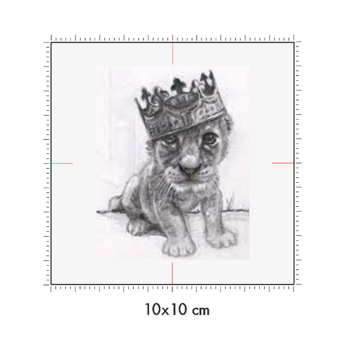 10 x 10 cm