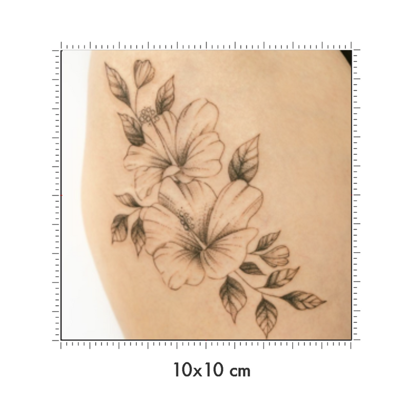 10 x 10 cm