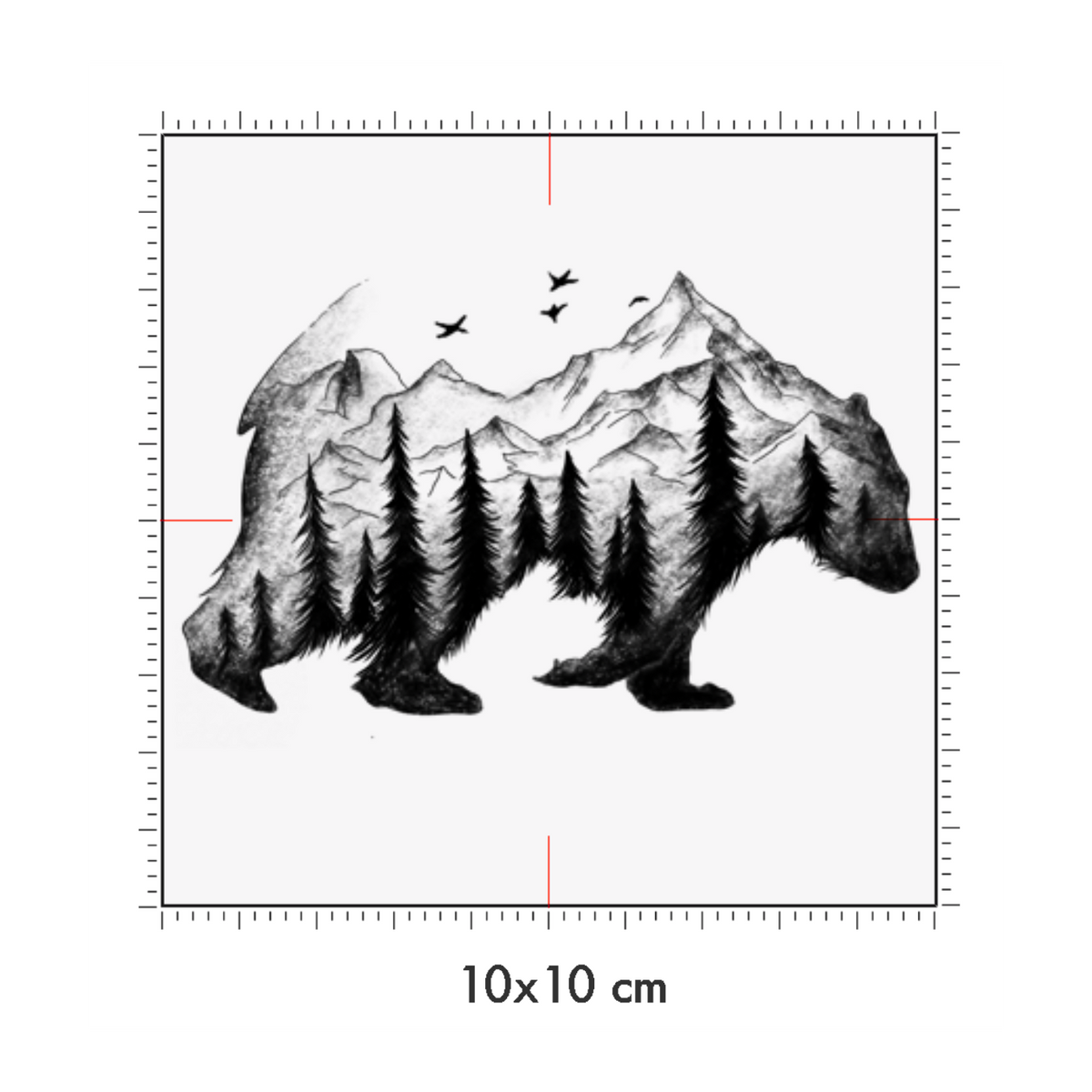 10 x 10 cm