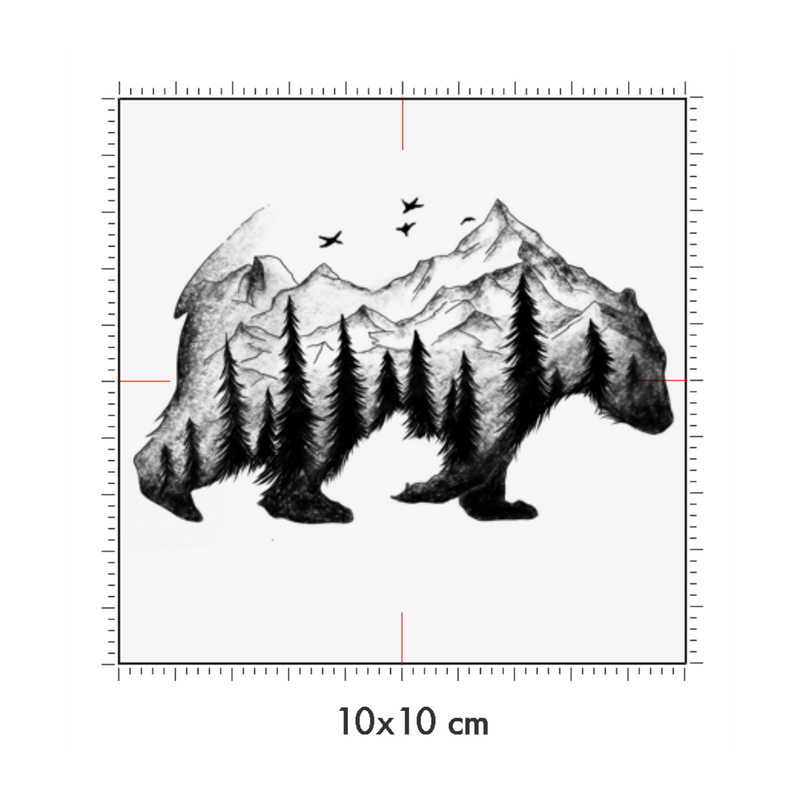 10 x 10 cm