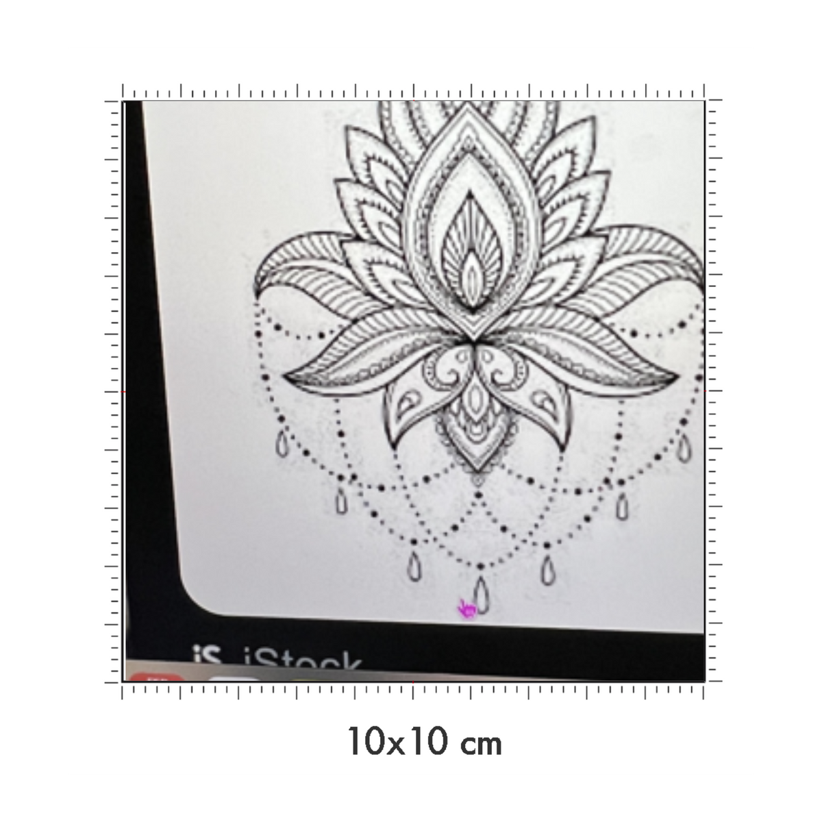 10 x 10 cm
