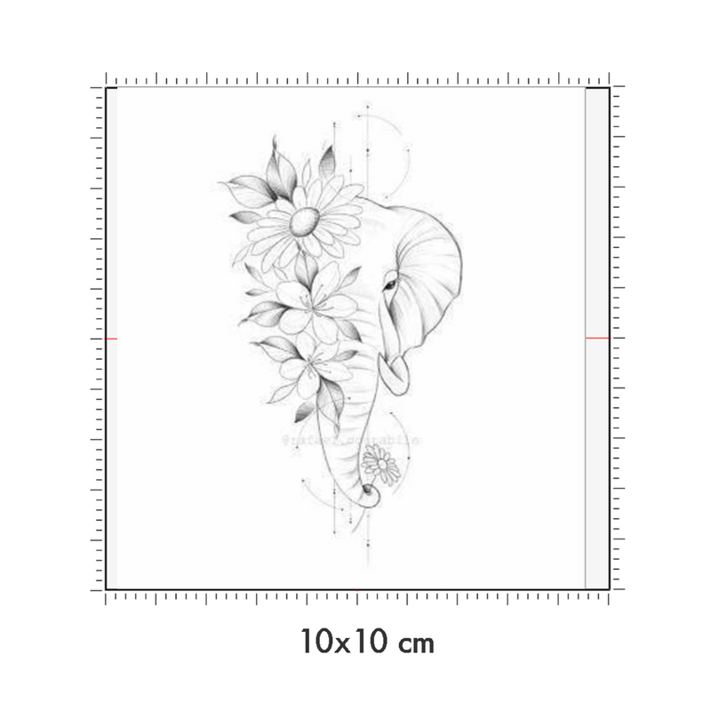 10 x 10 cm