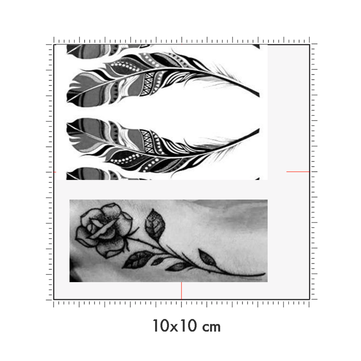 10 x 10 cm