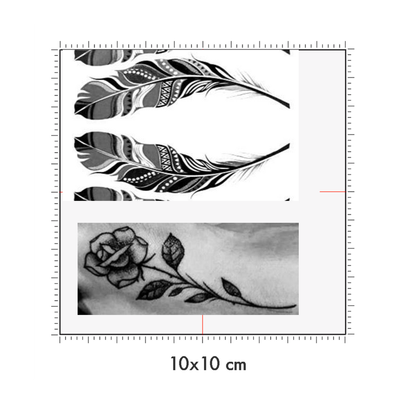 10 x 10 cm