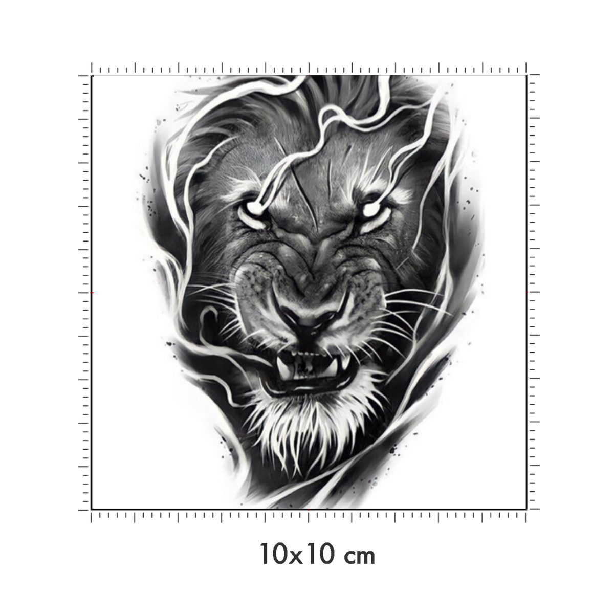 10 x 10 cm