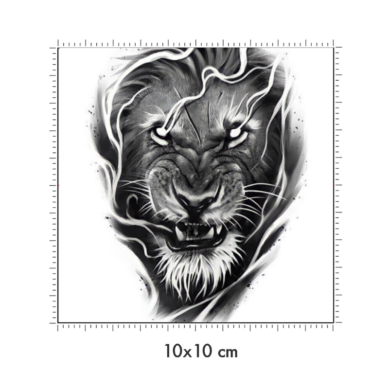 10 x 10 cm