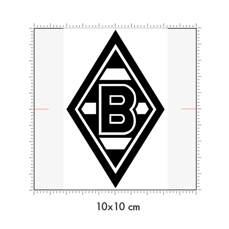 10 x 10 cm