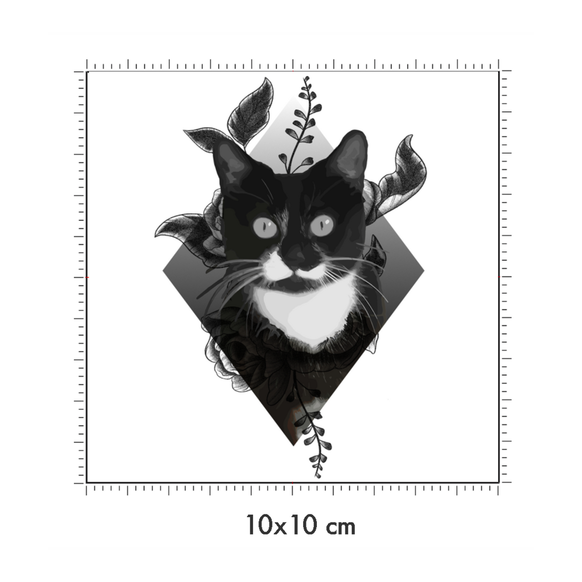 10 x 10 cm