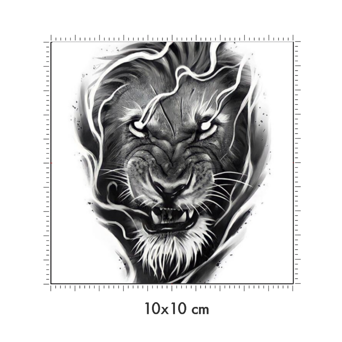 10 x 10 cm