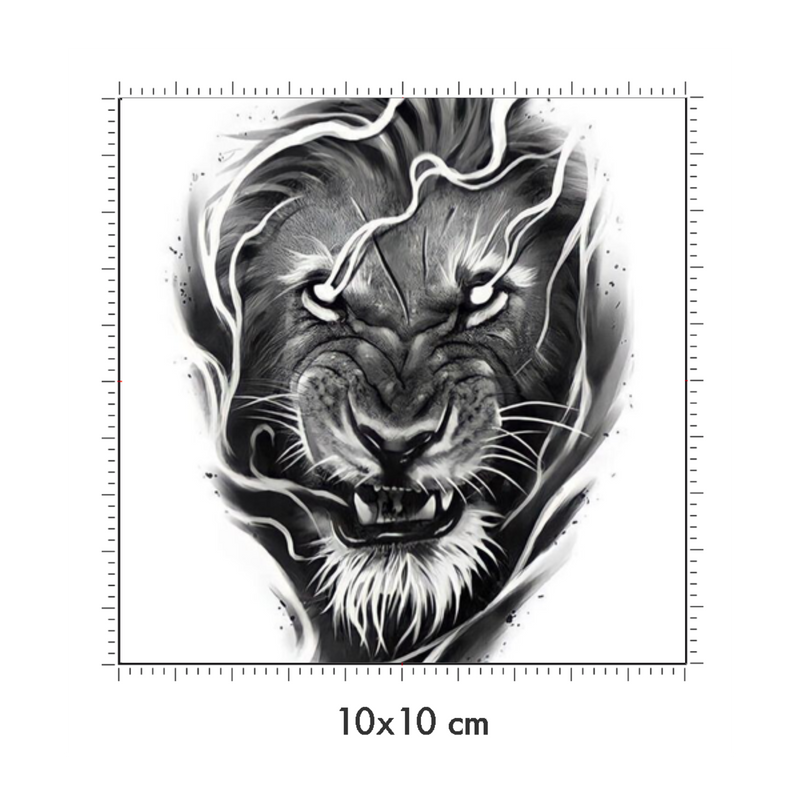 10 x 10 cm
