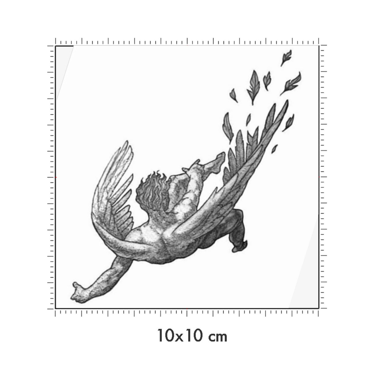 10 x 10 cm