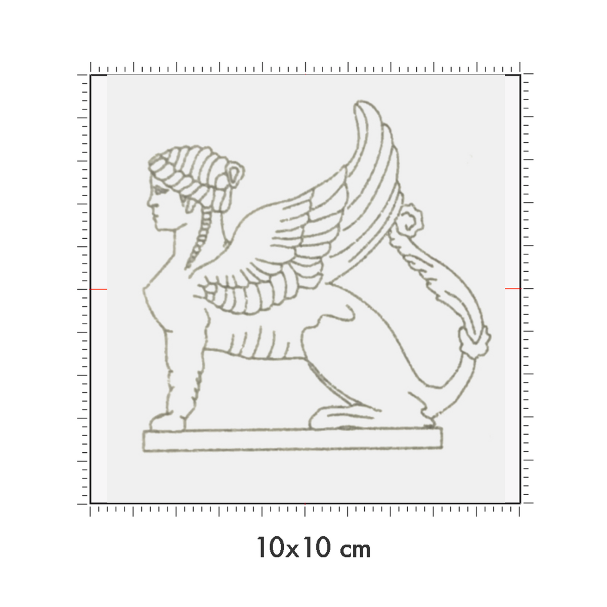 10 x 10 cm