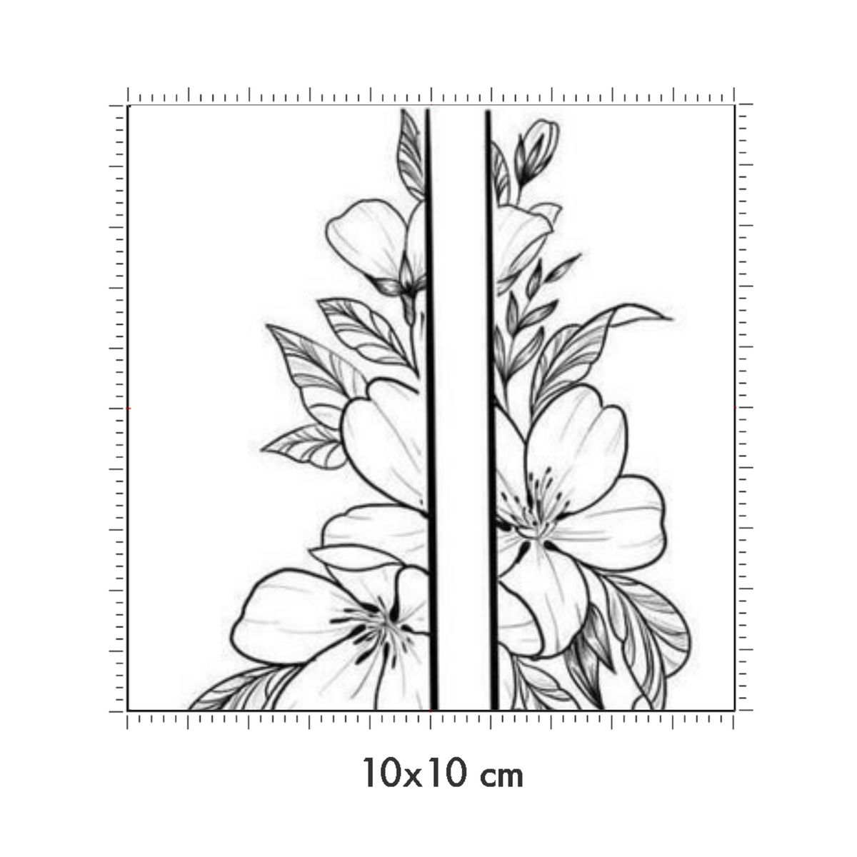 10 x 10 cm
