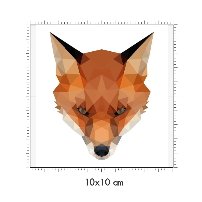 10 x 10 cm