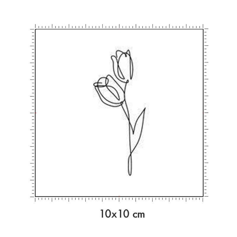 10 x 10 cm