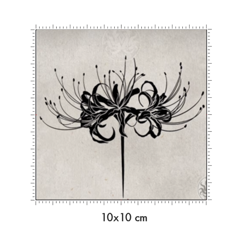 10 x 10 cm