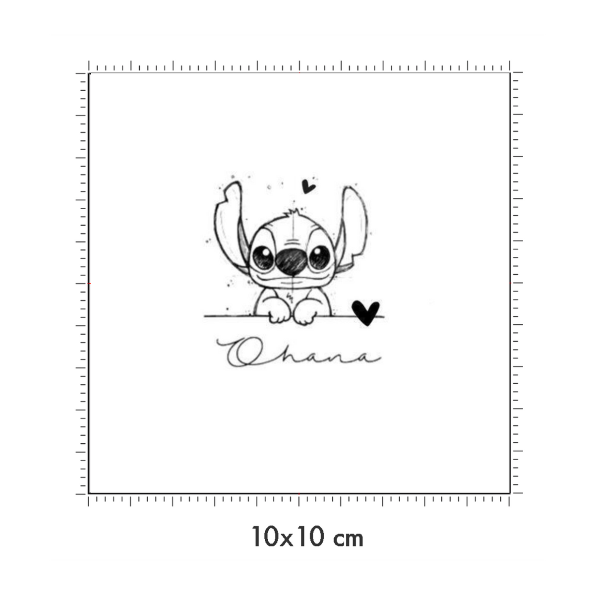 10 x 10 cm