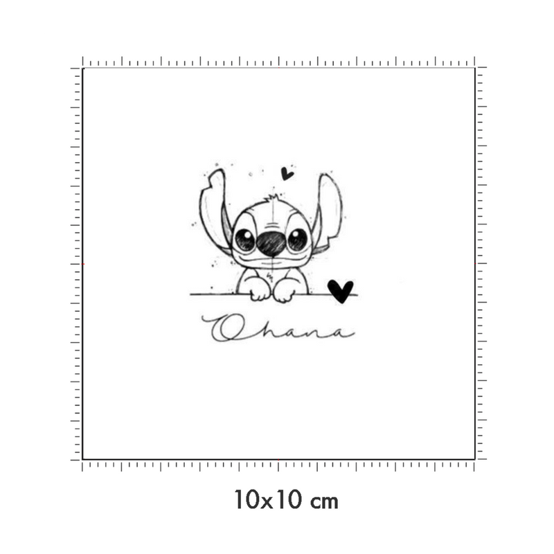 10 x 10 cm