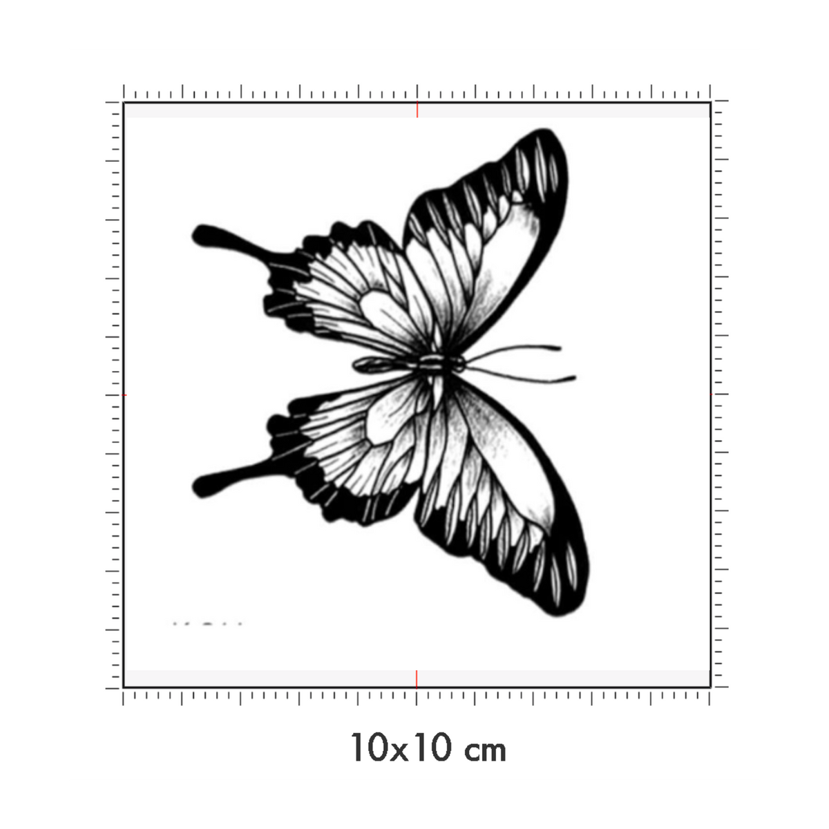10 x 10 cm
