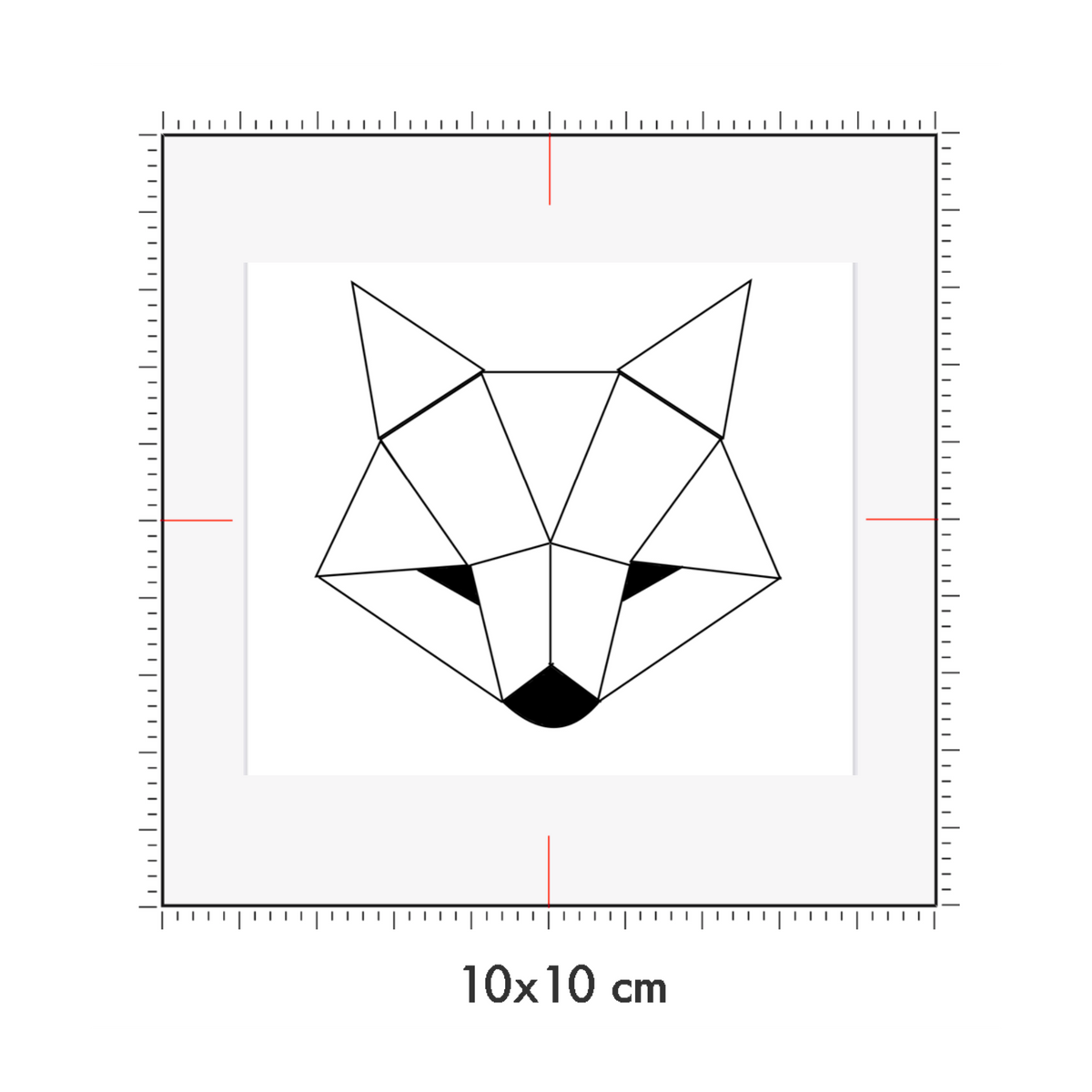 10 x 10 cm