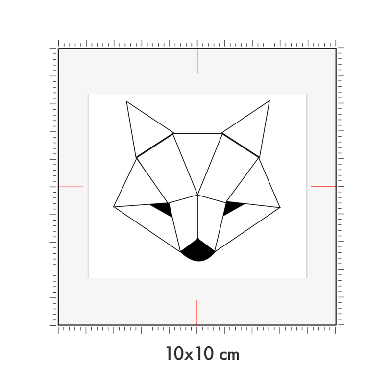 10 x 10 cm
