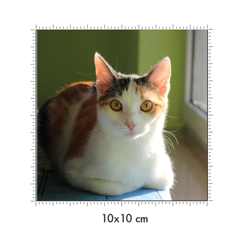 10 x 10 cm