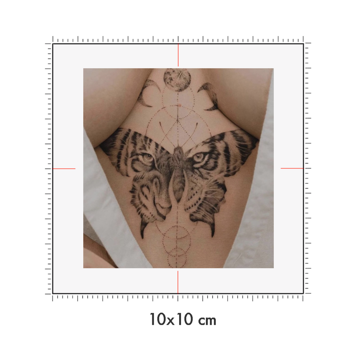 10 x 10 cm