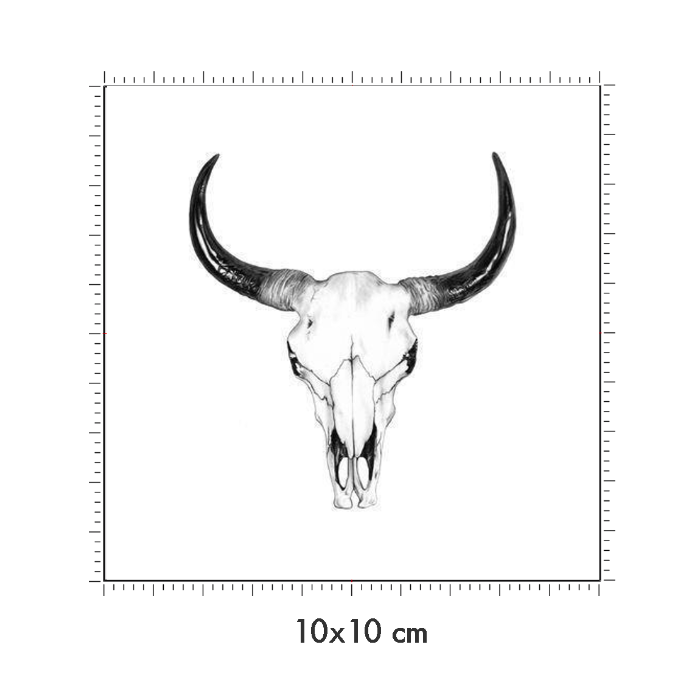 10 x 10 cm