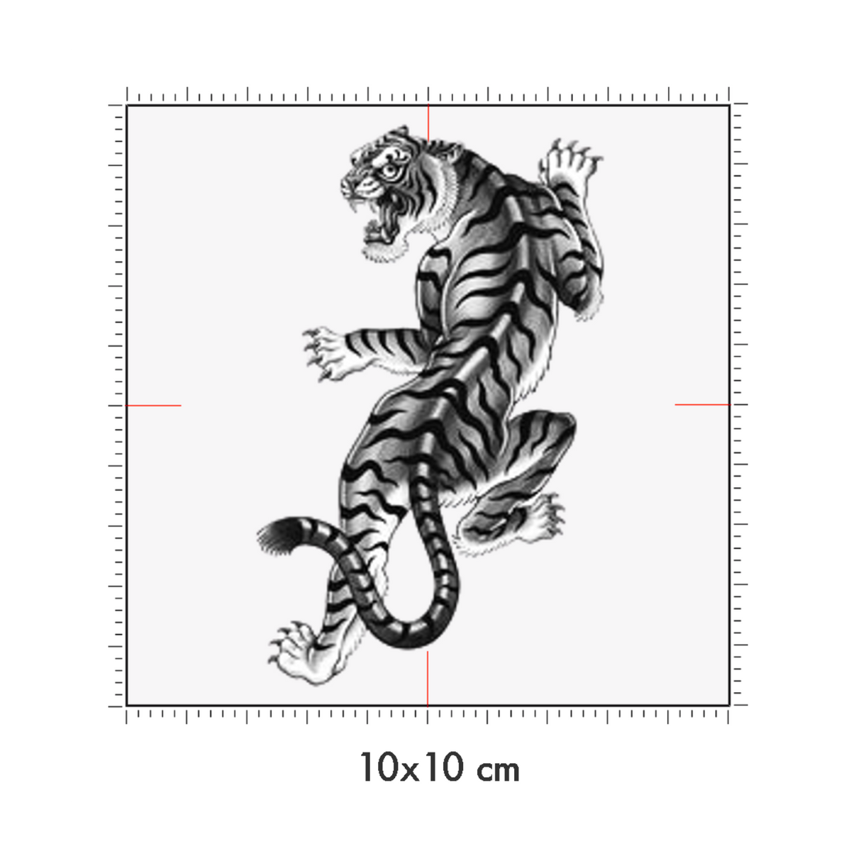 10 x 10 cm