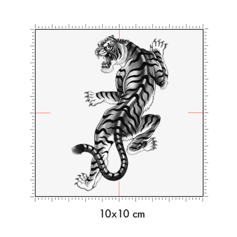 10 x 10 cm