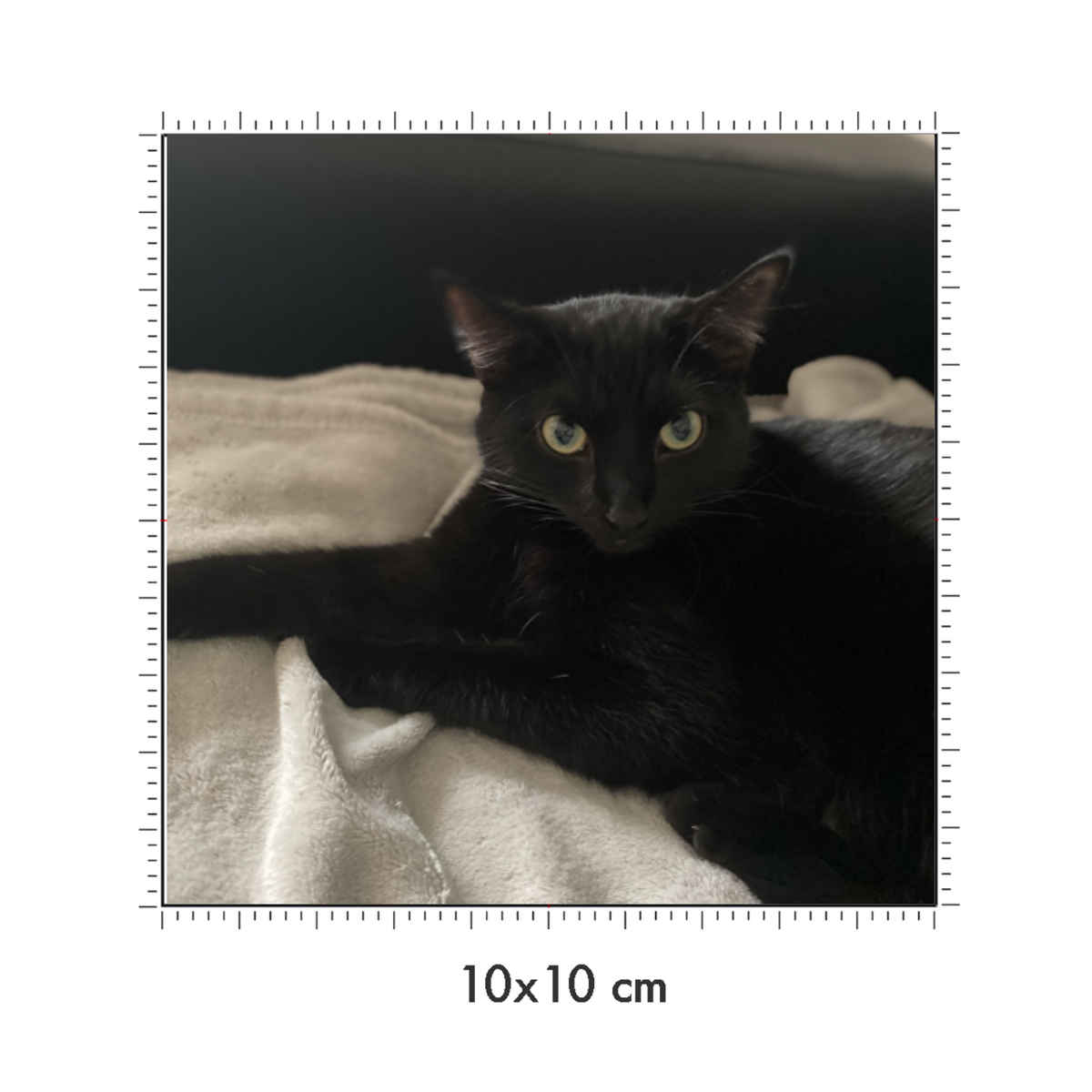 10 x 10 cm