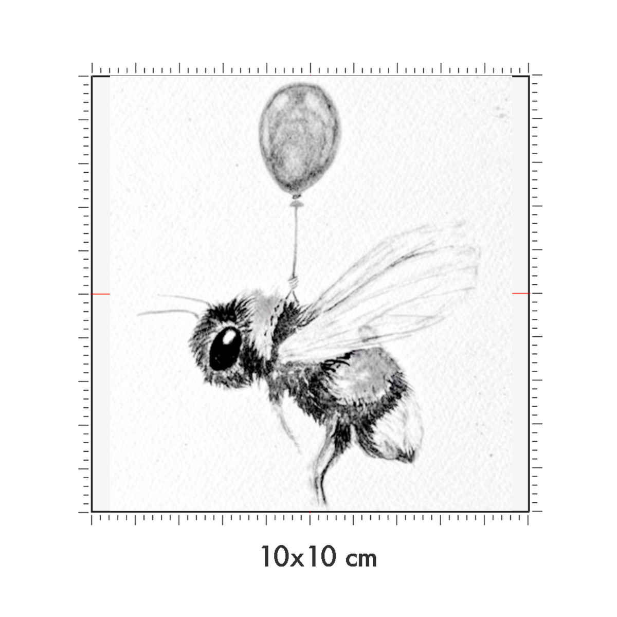 10 x 10 cm