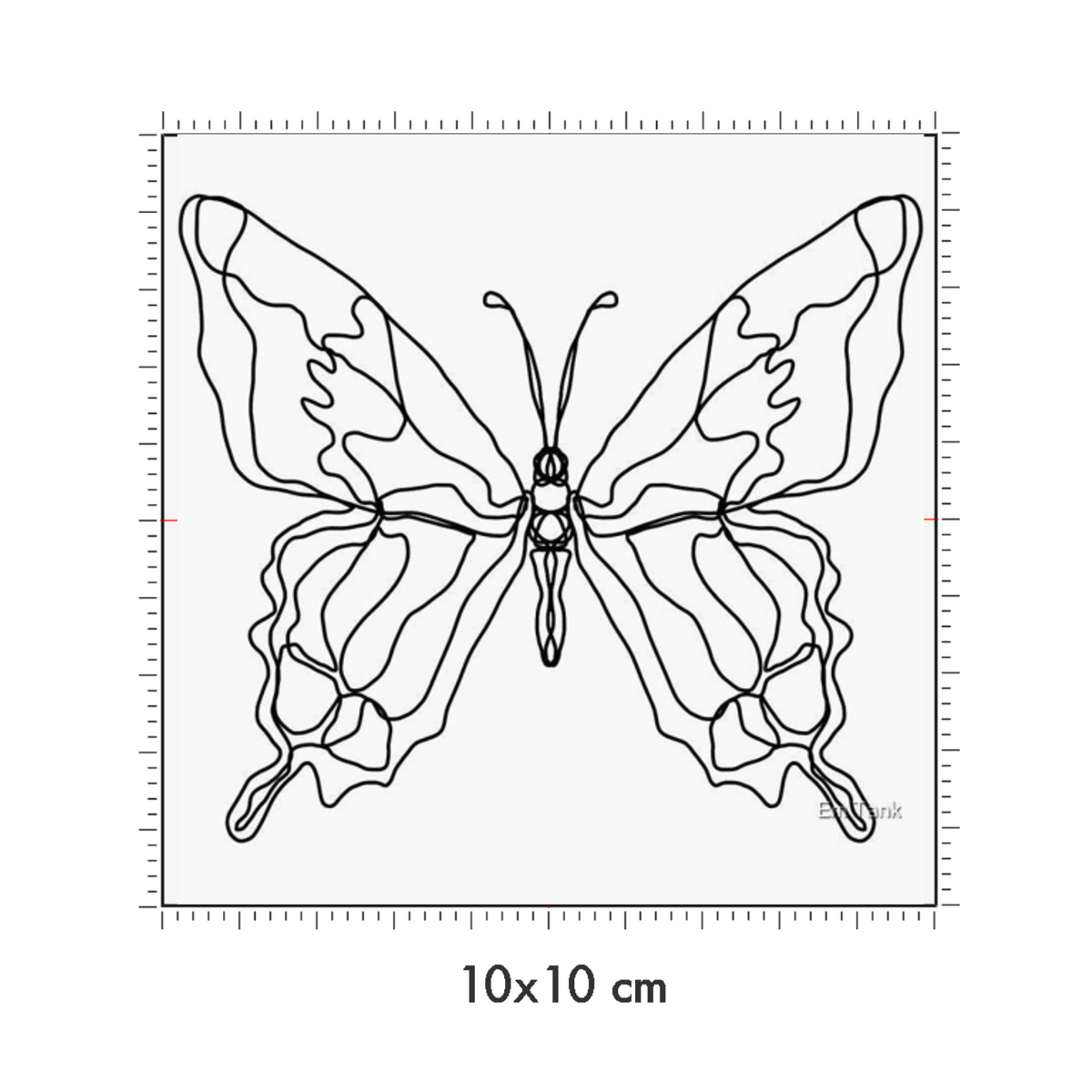 10 x 10 cm