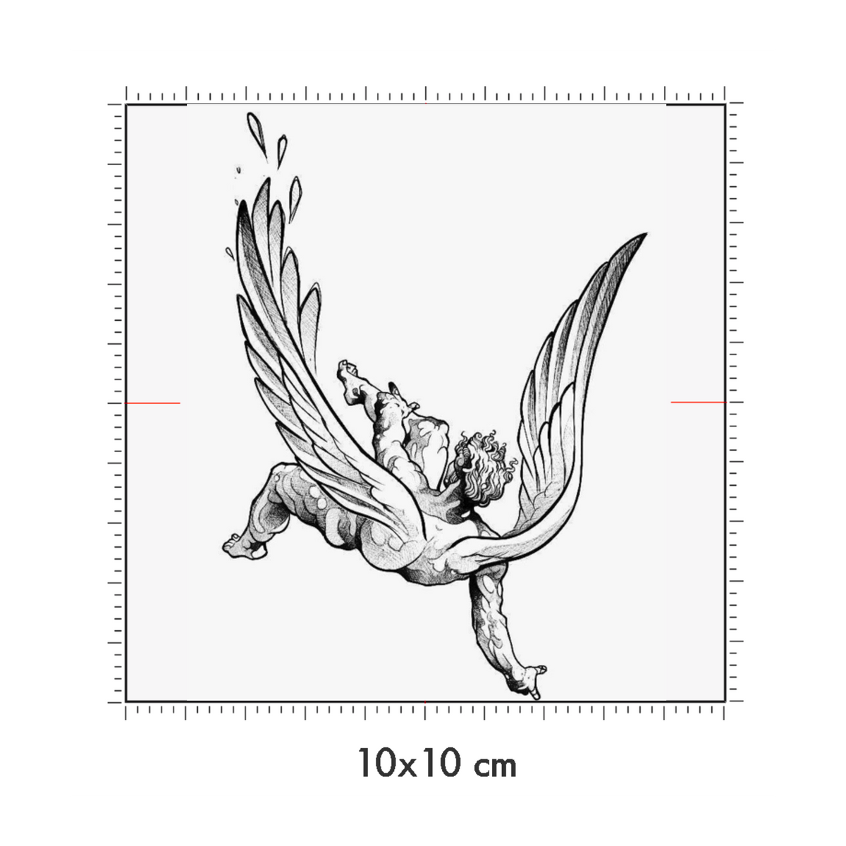 10 x 10 cm