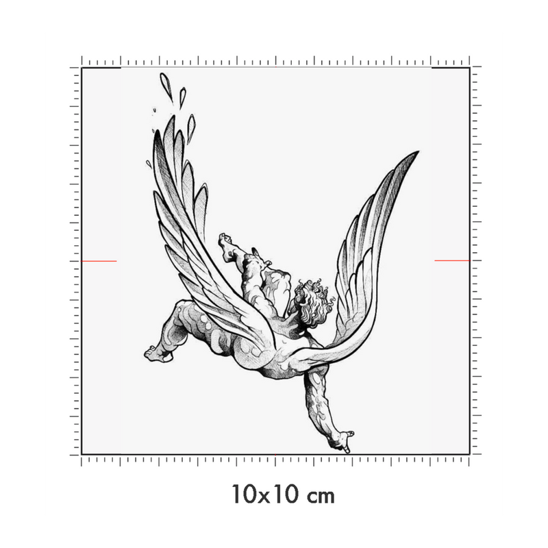 10 x 10 cm