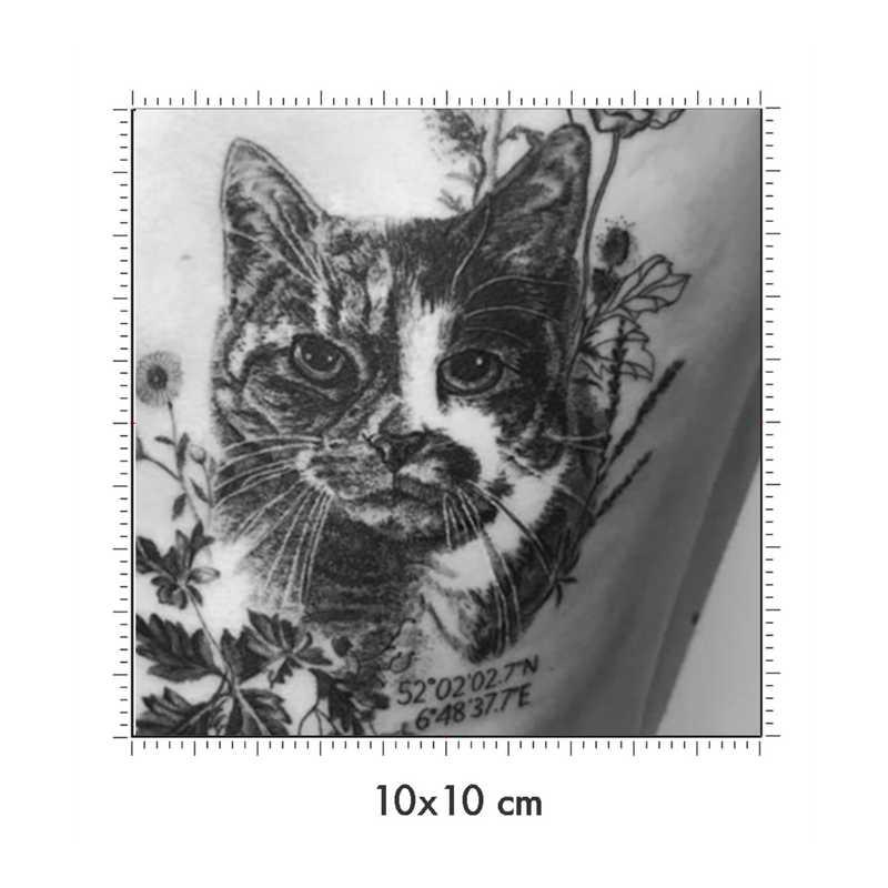 10 x 10 cm