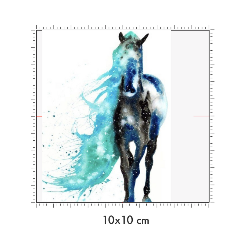 10 x 10 cm