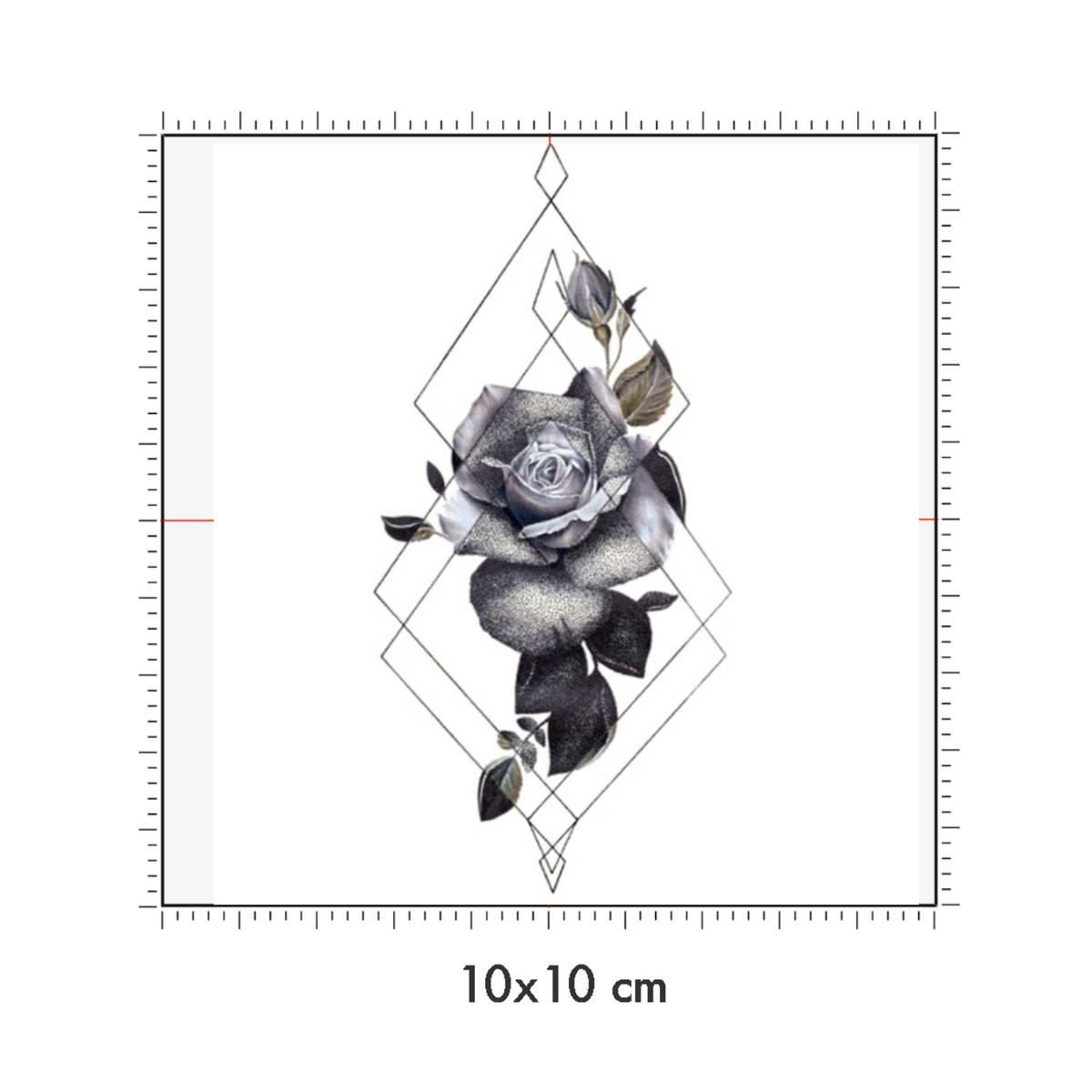 10 x 10 cm