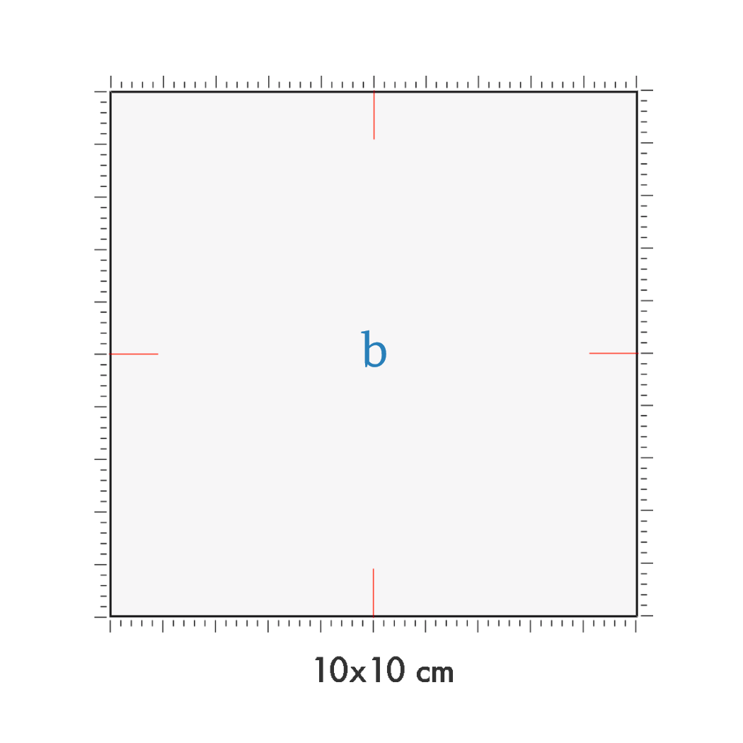 10 x 10 cm